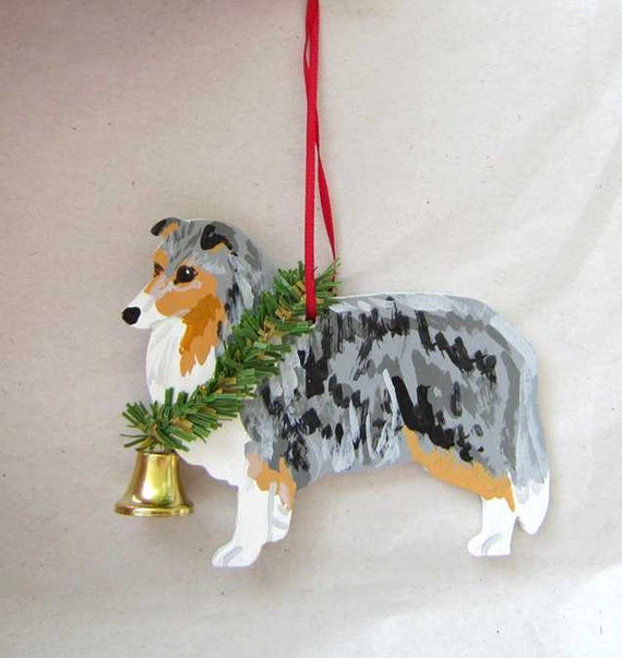 Blue merle sheltie for sale top