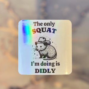 Holografische sticker geestelijke gezondheid: laptop/flessticker 'The Only Squat I'm do is DIDLY' | y2k / millenial donkere humorsticker