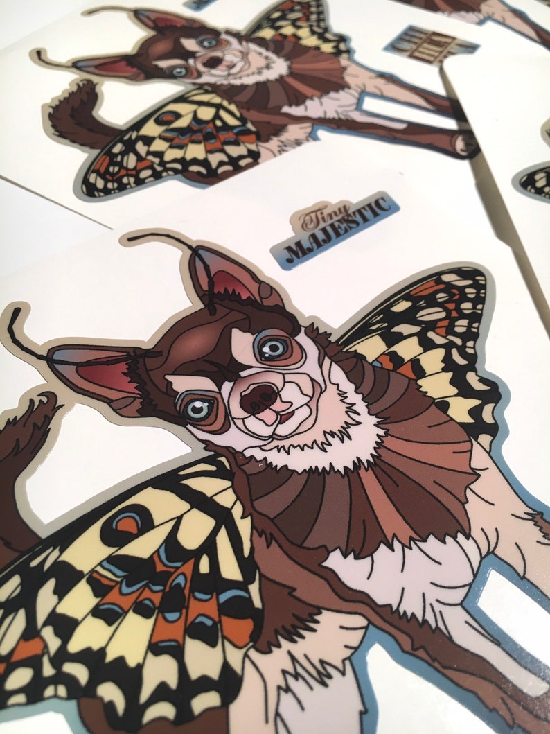 Chihuahua sticker with gloss laminate for inside or outside use, Tiny Majestic image 4