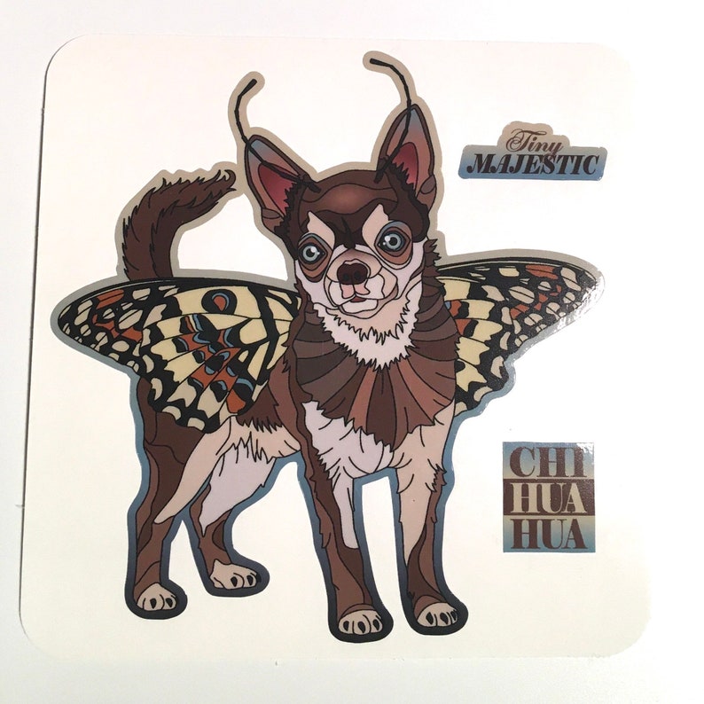 Chihuahua sticker with gloss laminate for inside or outside use, Tiny Majestic image 1