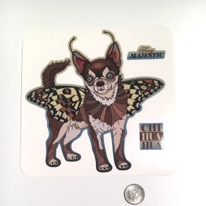 Chihuahua sticker with gloss laminate for inside or outside use, Tiny Majestic image 2