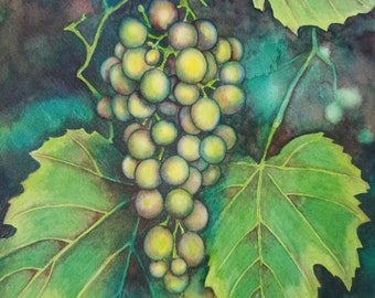 Original 9x7.5 grape vine watercolor painting