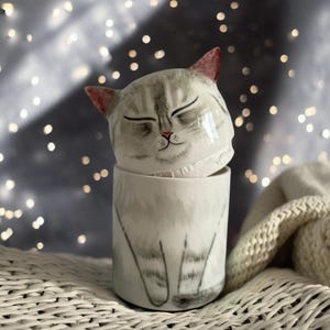 Personalized Ceramic Pet Urn.Custom Cat Memorial Gifts.Urn for Cat Ashes.Cat Urn.Cat Box With Semi-spherical Cover
