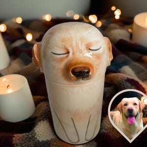Personalized Pet Urn.Custom Dog Memorial.Urn for Dog Ashes.Ceramic Pet Urn.Dog Pottery Container with Lid