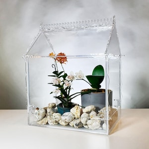 Mini Greenhouse for Orchids & Tropical Plants – Victorian Terrarium Display Case – Handmade Acrylic Wardian Style Indoor Garden
