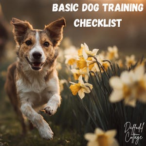 May include: A happy dog with brown, white, and tan fur runs towards the viewer. The dog is in a field of yellow daffodils. The text "BASIC DOG TRAINING CHECKLIST" is at the top of the image, and "Daffodil Cottage" is at the bottom.