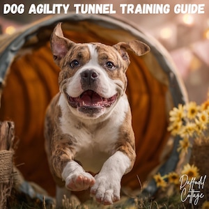 Dog Agility Tunnel Training Guide: Beginner-Friendly PDF with Progress Tracker