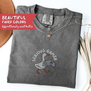 May include: A gray Comfort Colors t-shirt with the embroidered phrase "SERIOUS GAMER" around a cartoon goose holding a video game controller. The shirt also has the text "BEAUTIFUL FADED COLORS" and "Effortlessly aesthetic". A silver necklace with a pendant is on the shirt.
