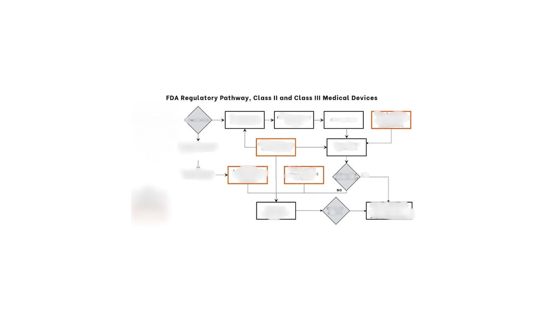 Step-by-step FDA Regulatory Pathway for Class II and Class III Medical ...