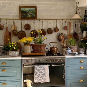 Unlacquered Brass Pot Rail, Kitchen Organizer, Wall Mounted Rack With S Hooks