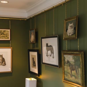 May include: A display of framed artwork, featuring cat portraits and a horse painting, hanging from a brass rail via chains. The frames vary in style, set against a dark green wall.