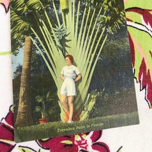 Vintage Florida Postkarte Travelers Palme 1940er Jahre Mid Century Andenken kitsch upposted