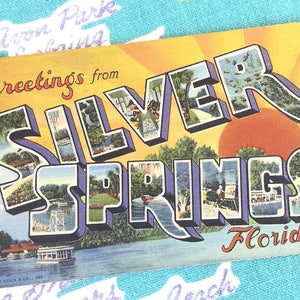 Carte postale vintage de Floride Silver Springs Greetings des années 1940 grande lettre lin kitsch souvenir de Floridiana