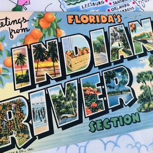 Vintage Indian River Florida Postkarte Grüße Großbrief Leinenandenken Kitsch Floridiana 1940er Jahre