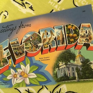 Vintage Florida postcard large letter linen 1940s greetings from Florida WWII Camp Blanding Tallahassee orange blossoms Bok Tower