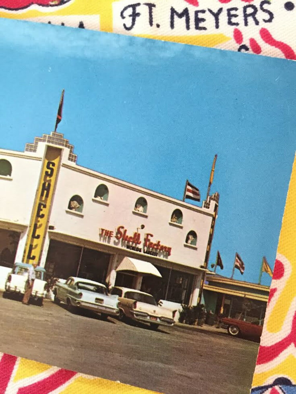 Vintage Fort Myers Florida postcard Shell Factory 1940s cars Etsy