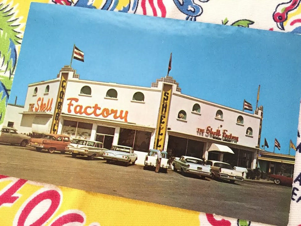Vintage Fort Myers Florida postcard Shell Factory 1940s cars Etsy