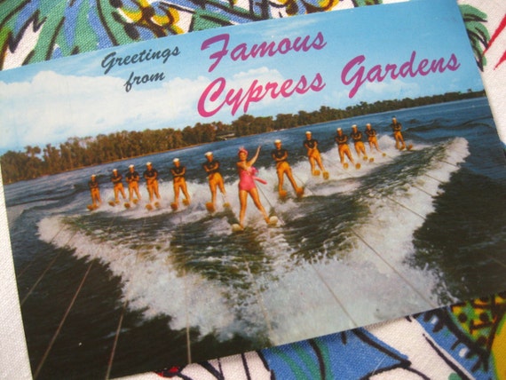 Vintage Florida Postcard Cypress Gardens Water Skiing Esther Etsy