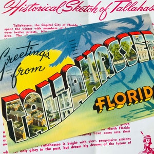 Vintage Tallahassee Florida cartolina grande lettera lino saluti state capitol palme luna Floridiana kitsch souvenir