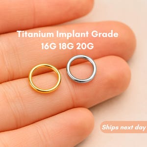 Titanium Clicker Nose Ring, Septum Clicker Ring, Nose Hoop, Septum Ring, Seamless Clicker (6-12mm) 20G/18G/16G/14G - Titanium Implant Grade