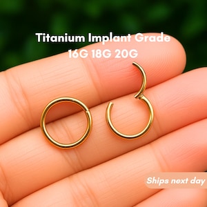 Titanium Grade Nose Ring, Septum Clicker Ring, Nose Hoop, Septum Ring, Seamless Clicker (6-12mm) 20G/18G/16G/14G - Titanium Implant Grade