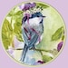 Avatar belonging to HummingbirdHillArts