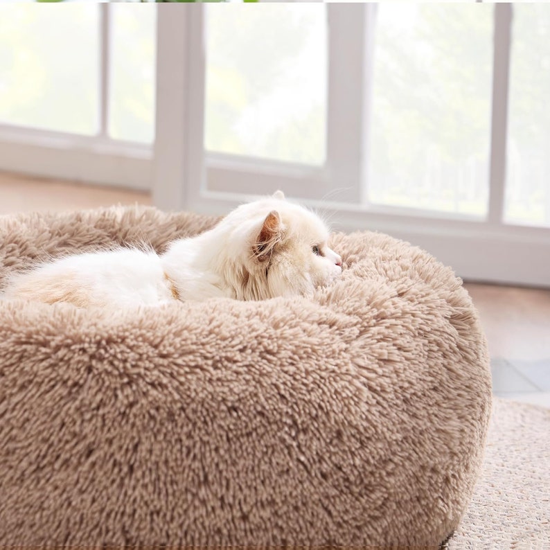 View of Bedsure Calming Cat Beds for Indoor Cats Cat Bed Washable 20 Inch, Non ...