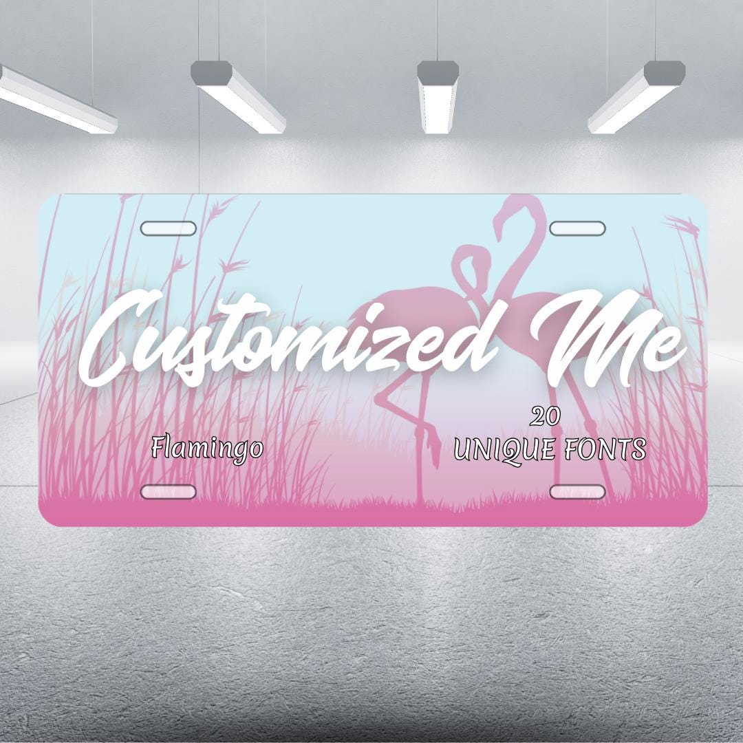 Custom License Plate Personalized Plate, Custom Car Tags, 6 X 12 Inch Custom License Plate Personalized Plate, Custom Car Tags, 6 X 12 Inch