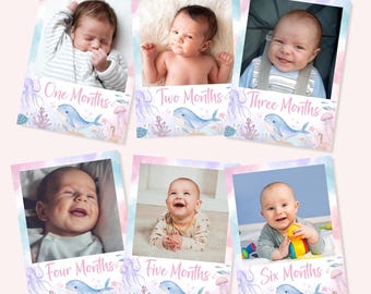 Pode incluir: Conjunto de seis cartões de marcos para bebês com fotos de bebês de um a seis meses. Cada cartão tem um design em aquarela com uma baleia, água-viva e o nome do mês.