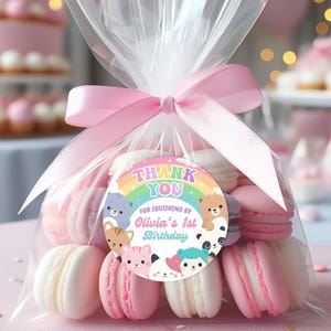 May include: A clear cellophane bag tied with a pink ribbon, filled with pastel macarons. A round sticker with the text "Thank You" and "Olivia's 1st Birthday" features cartoon animals and a rainbow.