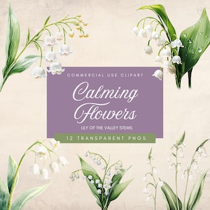 Clipart de tiges de muguet | Clipart aquarelle fleur blanche | Fleurs apaisantes PNG | plantes vintage |  Fleurs de printemps | Pâques