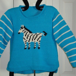May include: A blue knitted sweater with white stripes on the sleeves and a zebra design on the front.