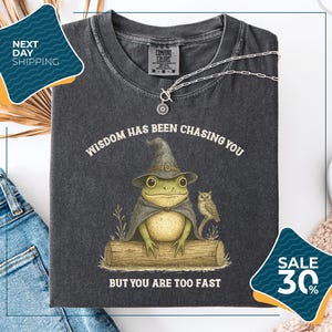 a gray t-shirt with a whimsical graphic of a frog wearing a wizard's hat and holding a book, accompanied by the text "WISDOM HAS BEEN CHASING YOU BUT YOU ARE TOO FAST". The t-shirt is displayed on a white background, with a pair of jeans and a white object visible in the background. There are also two sale tags visible, one for the t-shirt and one for the jeans.