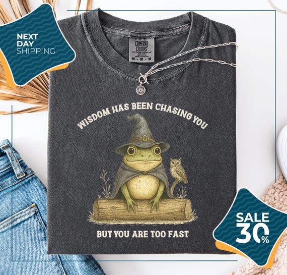 Comfort Colors® Frog Wizard T-shirt | Funny Weirdcore Meme Tee Shirts | Weirdcore Meme | Unfunny Unhinged Funny Retro Gen Z Weird