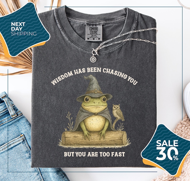 a gray t-shirt with a whimsical graphic of a frog wearing a wizard's hat and holding a book, accompanied by the text "WISDOM HAS BEEN CHASING YOU BUT YOU ARE TOO FAST". The t-shirt is displayed on a white background, with a pair of jeans and a white object visible in the background. There are also two sale tags visible, one for the t-shirt and one for the jeans.