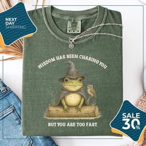 a green t-shirt with a frog wearing a wizard's hat and an owl perched on a log, accompanied by the text "WISDOM HAS BEEN CHASING YOU BUT YOU ARE TOO FAST".