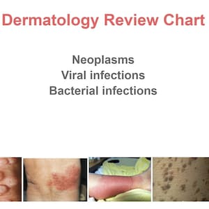 Dermatologie-Überblick: Neubildungen, Bakterien- und Virusinfektionen.