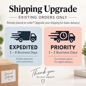 Könnte beinhalten: Eine Grafik mit der Überschrift Shipping Upgrade Existing Orders Only. Sie zeigt zwei Kästen: einen hellblauen für Expedited 2-8 Business Days und einen pfirsichfarbenen für Priority 1-2 Business Days. Ein brauner Karton mit einem Special Delivery Etikett ist zu sehen.