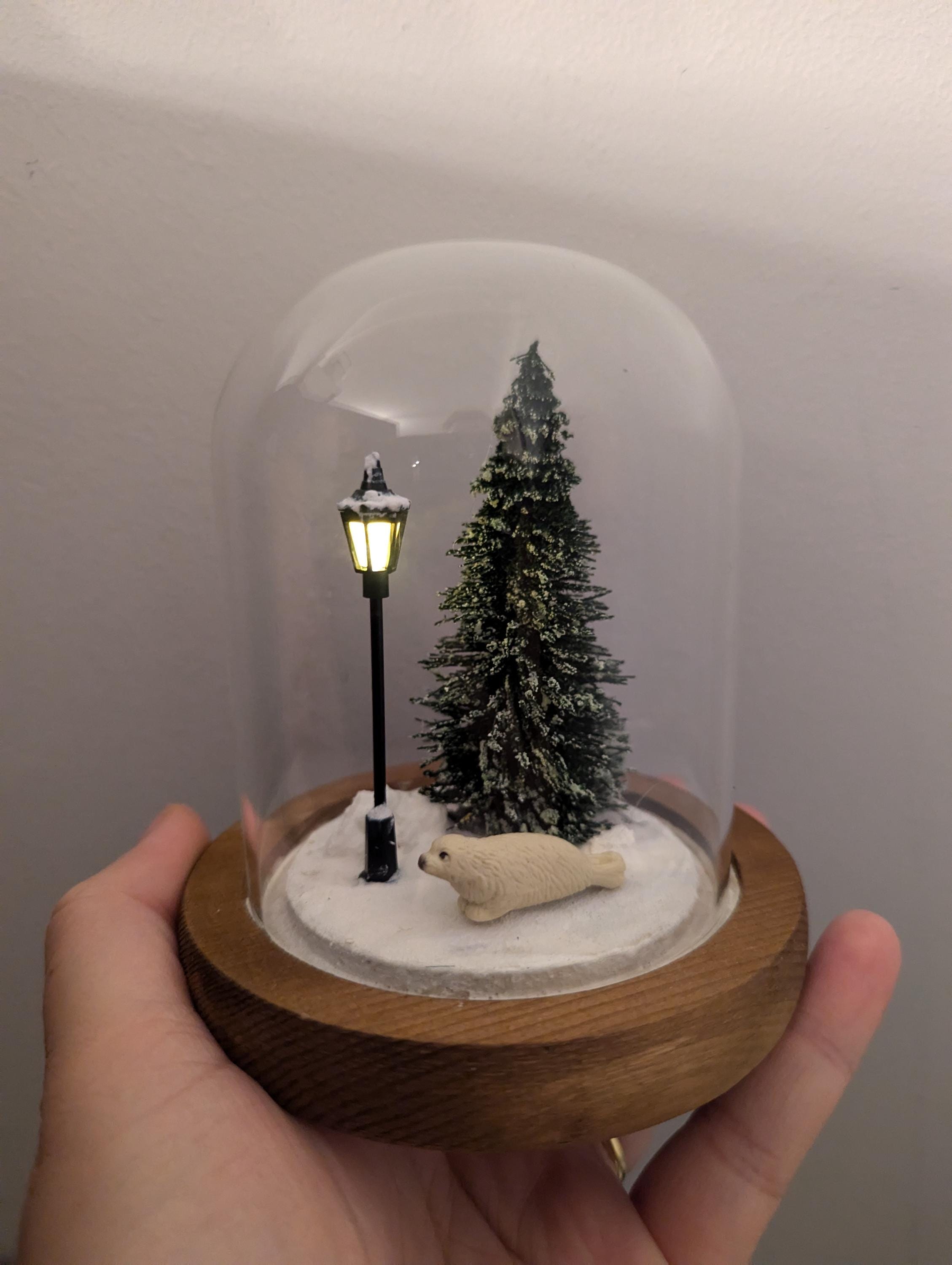Seal Pup Miniature Terrarium Handmade Light Up Diorama Snow Globe Glass Bell Jar Nature Selkie Wildlife Gift Birthday Christmas Anniversary