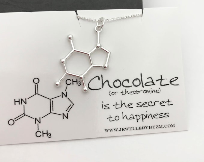 Sterling Silver Chocolate Necklace - Chocolate Molecule, Science Jewellery, Chemistry Jewellery, Theobromine molecule, Molecule necklace