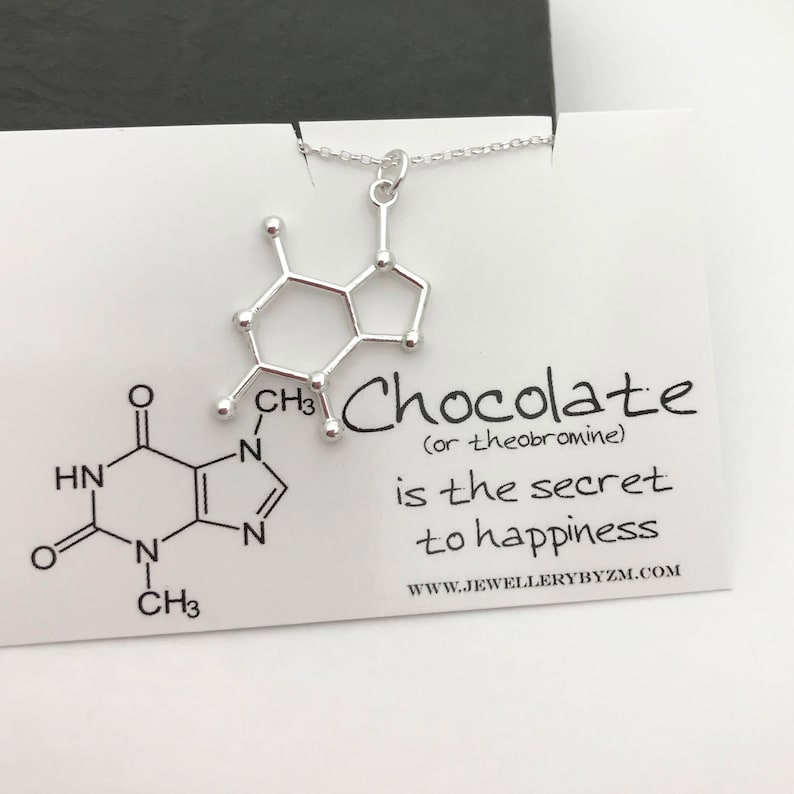 Sterling Silver Chocolate Necklace - Chocolate Molecule, Science Jewellery, Chemistry Jewellery, Theobromine molecule, Molecule necklace image 1