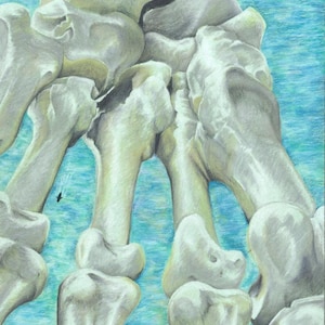 Plantar Islands Anatomy Bone Art Digital Download, Gift for Artists, Dentists, Medical, Nurses