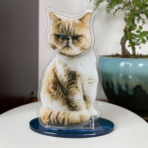 Custom Cat Bobbleheads - Personalized Pet Gifts, Kitten Statue, Car Accessories, Cartoon Pet Portraits，Dog & Kitten Bobbleheads