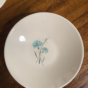 2 Vintage Salad Bowl, Pasta Bowl - Taylor, Smith & Taylor - Floral Pattern - Discontinued Dinnerware
