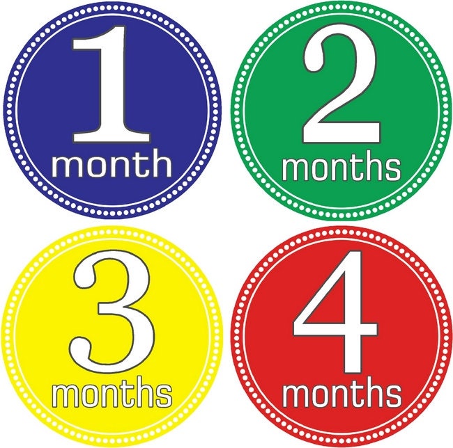 Monthly Baby Bodysuit Growth Stickers Simply Striking | Etsy