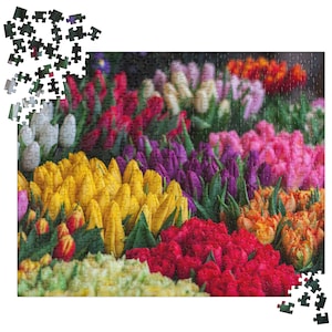 Colorful Tulips Jigsaw Puzzle