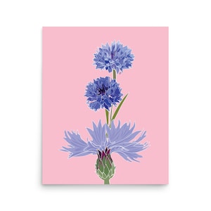 Cornflower Stack Art Print