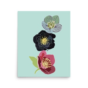Hellabores Flower Stack Art Print