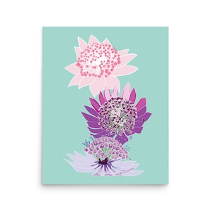 Astrantia Flower Stack Art Print