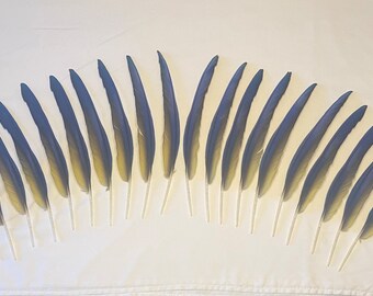 20 Long Flight Feathers, Blue and Gold Macaw, Home Decor, Mask Making, Fashion, Crafting Supplies, Costume Supplies, Theater Supplies